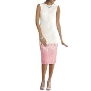 ASHRO- WOMEN'S HOMBRE LACE FULLY LINED MIDI BACK ZIP-UP CLOSURE DRESS SIZE 10